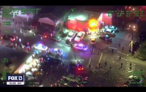 Tampa Police Ambushed By Angry Swarm, 2 Officers Injured