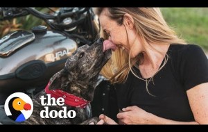 Dog Keeps Sneaking Into This Woman's Yard | The Dodo Soulmates