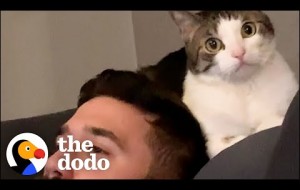 Woman Becomes Third Wheel In Her Cat And Husband's Relationship