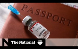 ‘Vaccine passports’ could be necessary for international travel, Trudeau says