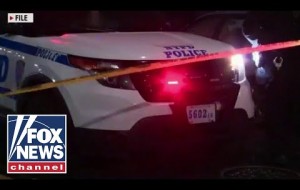 Time to take back our streets from the criminals: Ted Williams