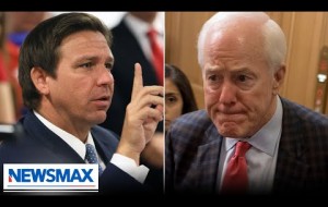 DeSantis ATTACKS 'Critical Race Theory' bill backed by 3 Senate Republicans